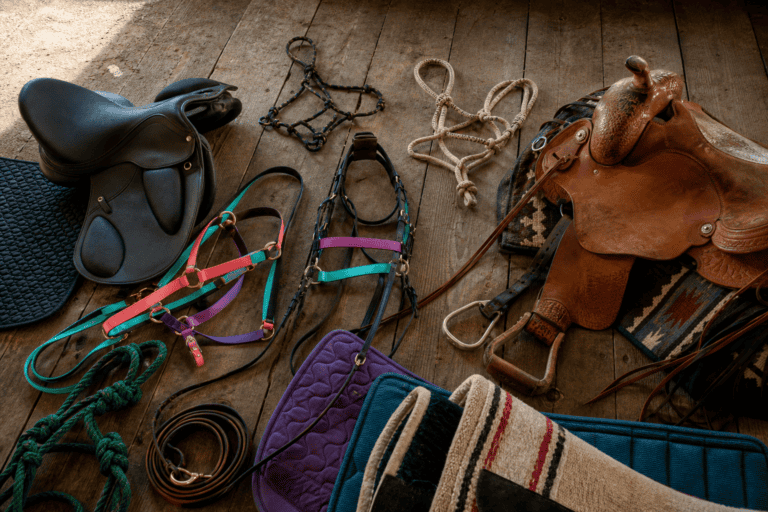 Assorted horse tack laid out on a wooden floor, including English and Western saddles, colorful halters, lead ropes, and saddle pads