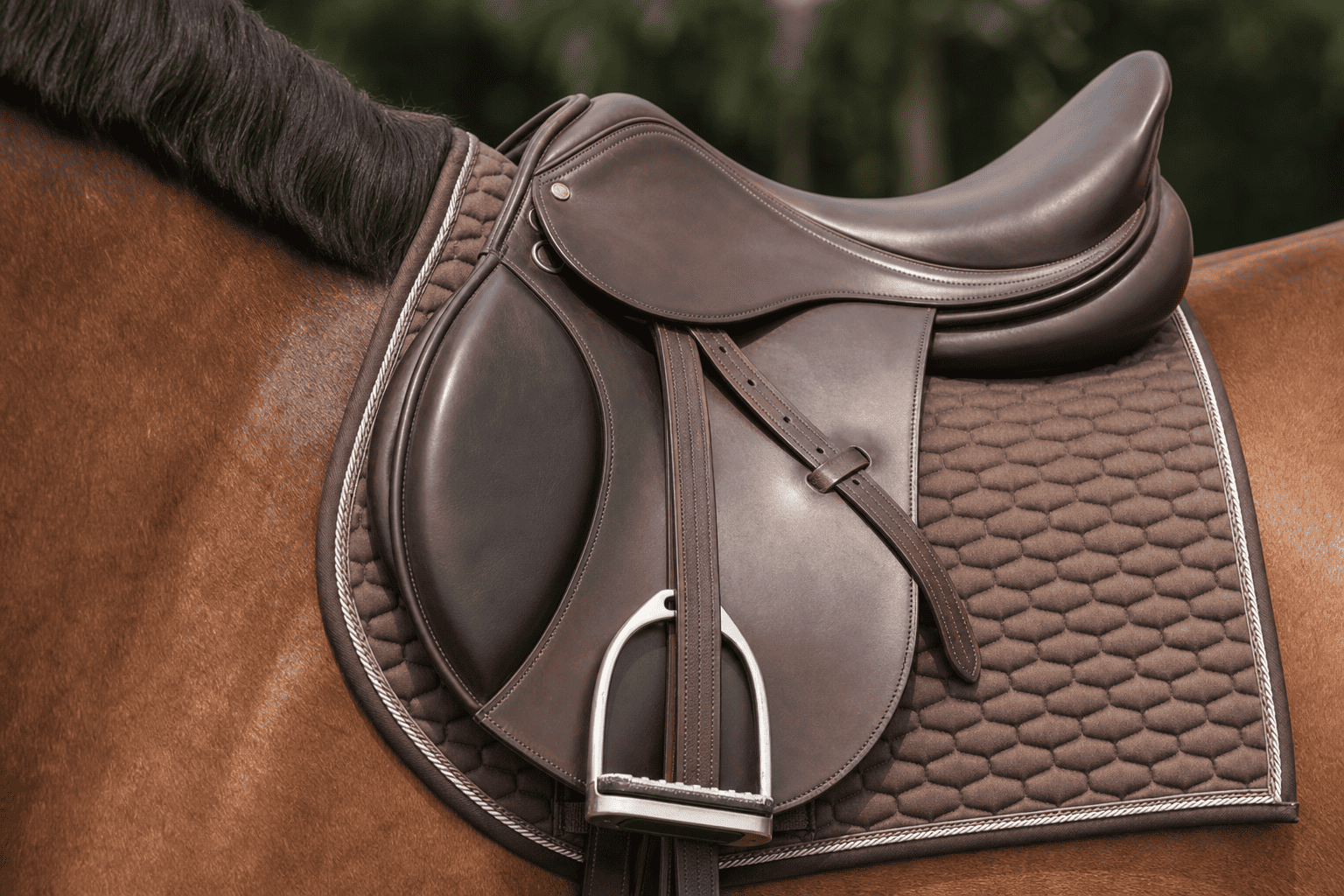 Brown leather English saddle with silver stirrup on a chestnut horse, paired